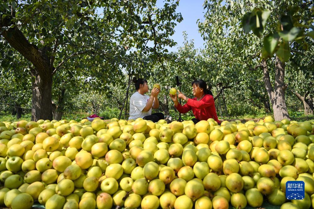 太阳集团20056.com
